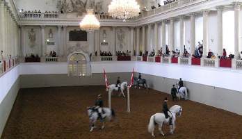 École d'équitation espagnole de Vienne 