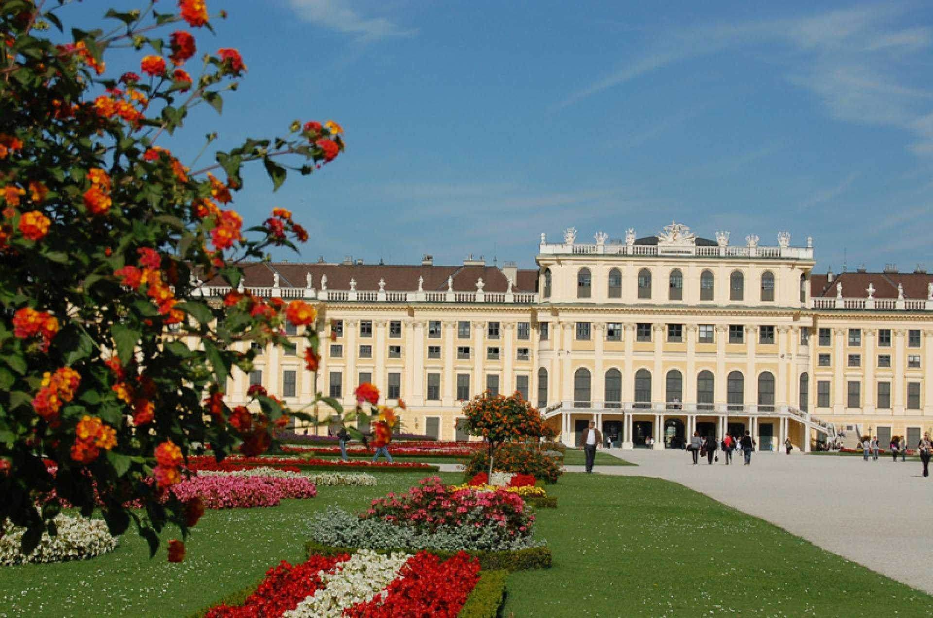 Schönbrunn Palace Tour, Dinner and Concert