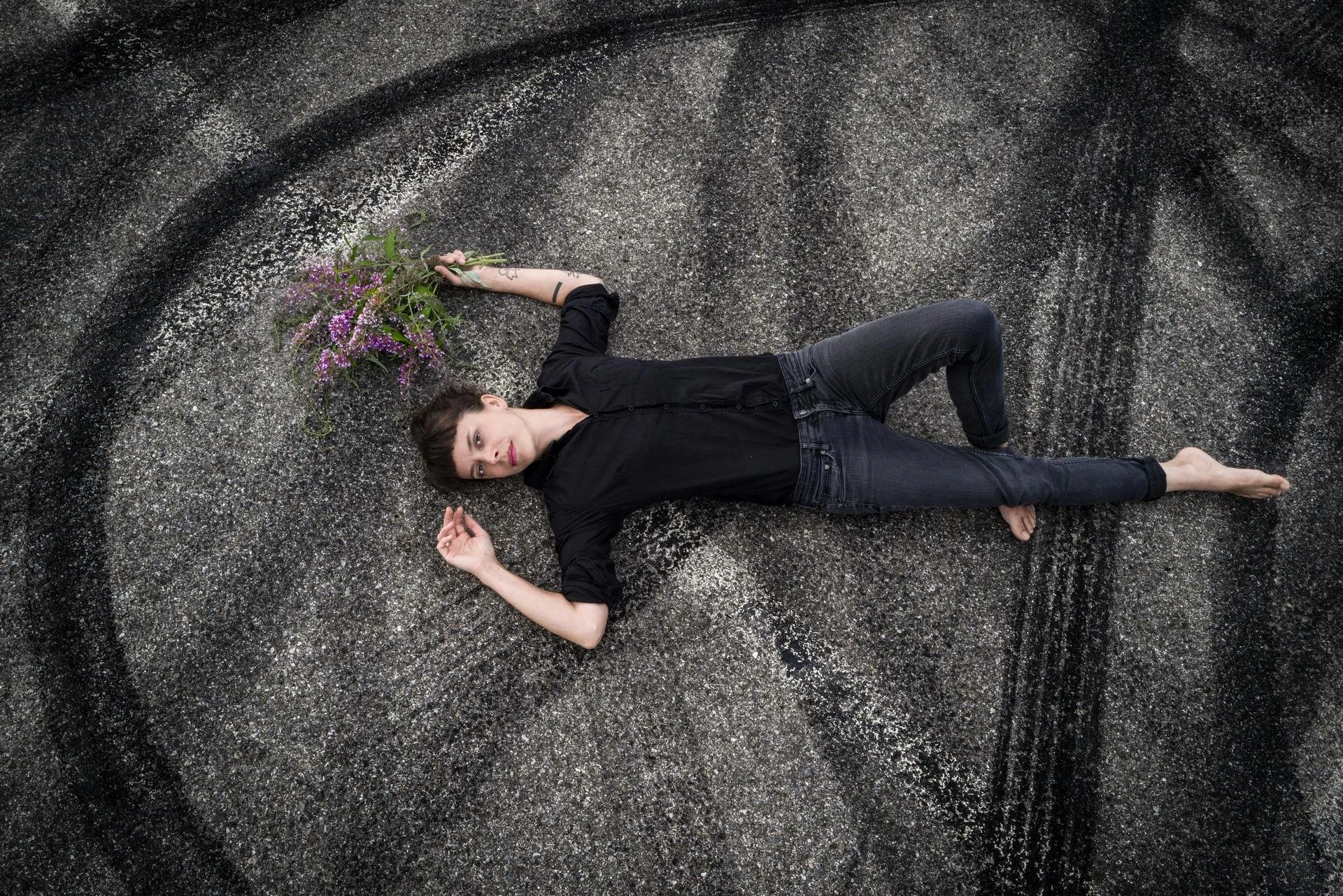 Tara Nome Doyle, The Ocelots et Clara Luzia