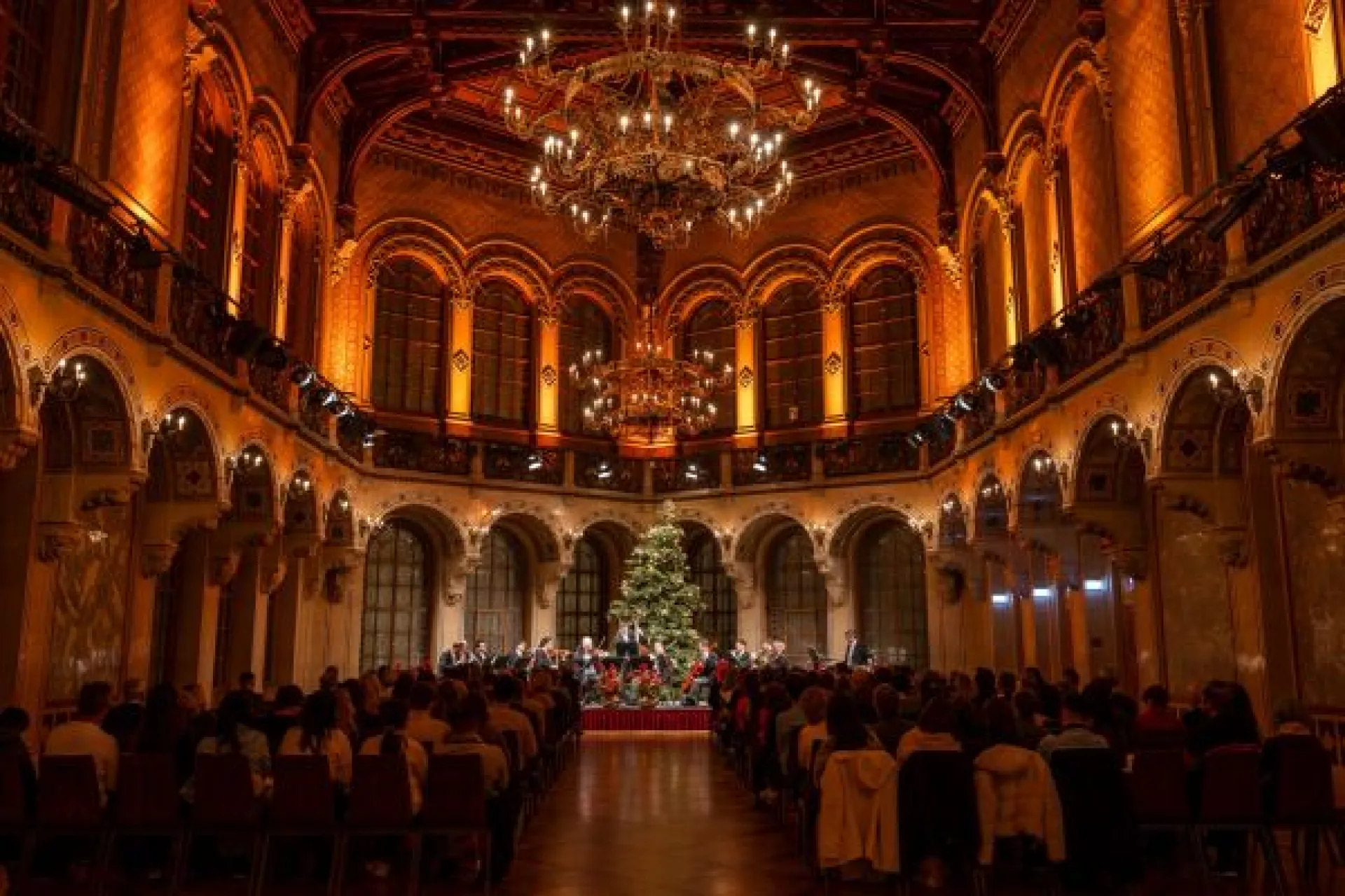 Un Concerto di Fine Anno al Palais Ferstel