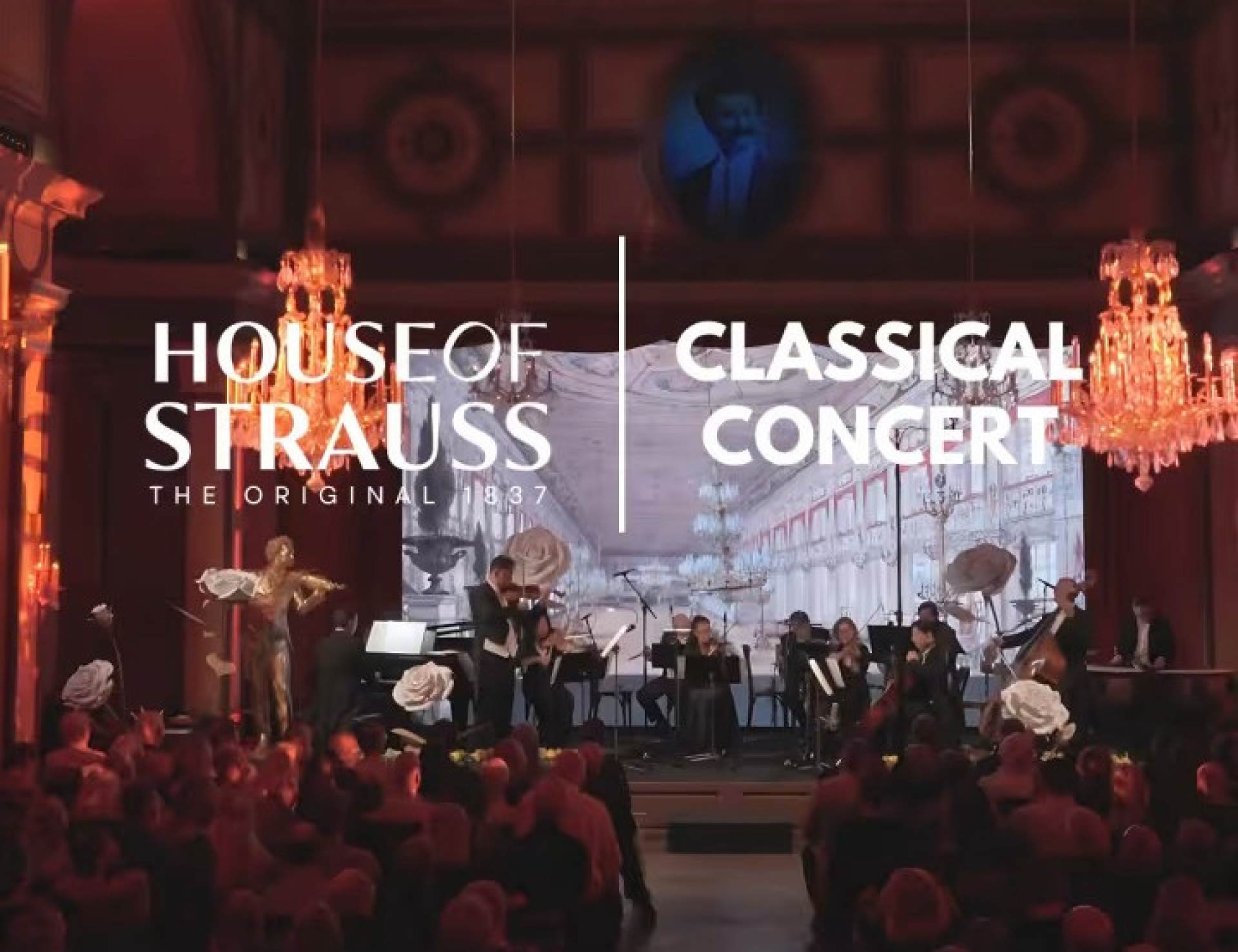 House of Strauss, Spectacle Concert