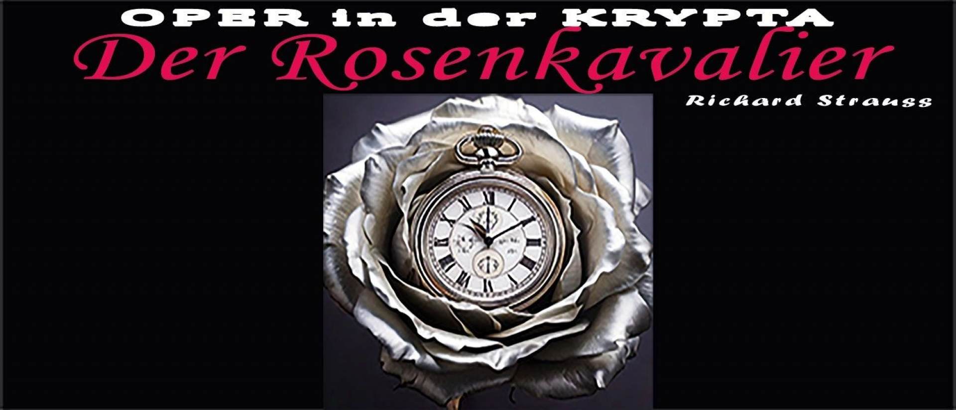 Il cavaliere della rosa