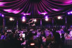 Burlesque Spectacular, Dinner Show