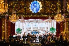 House of Strauss, Concert Show