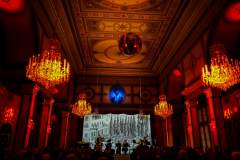 House of Strauss, Concert Show