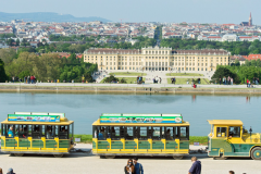 Trenuleț panoramic Schönbrunn