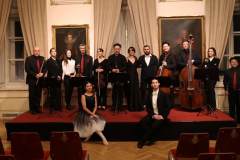 Orchestra Premium din Viena 2