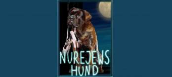 Nureyev's Dog