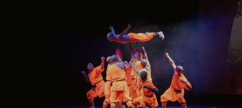 I Monaci del Kung Fu Shaolin