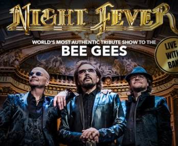 Night Fever, Eine Hommage an die Bee Gees