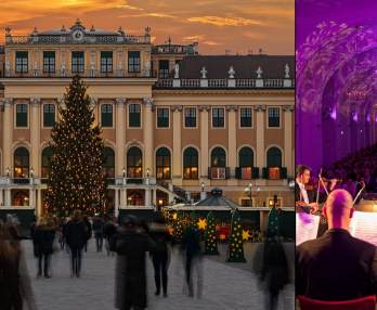 Mercado de Navidad y Concierto - Palacio de Schönbrunn