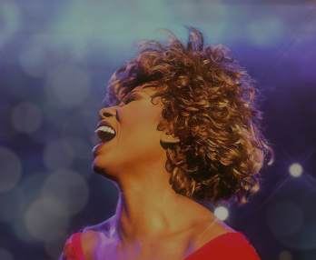 Simply The Best - La Storia di Tina Turner