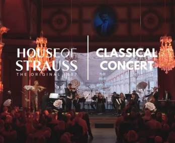 House of Strauss, Espectáculo Concertístico