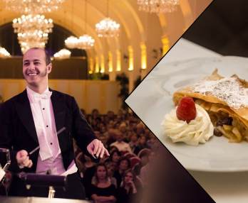 Palacio de Schönbrunn de Viena - Cena y Concierto