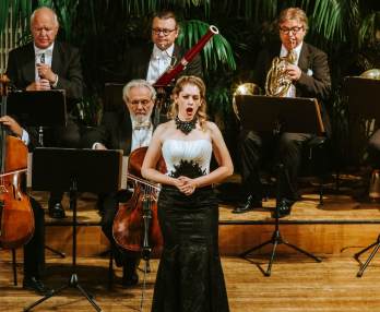 Wiener Hofburg Orchester, Strauss und Mozart Konzert