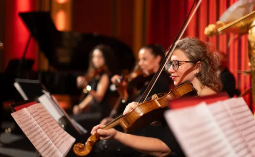 Classics of Austria, Il concerto classico a Vienna