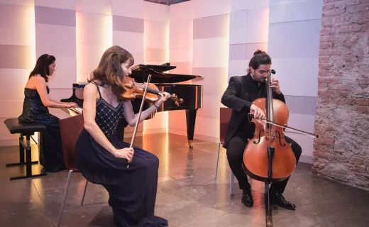 Wiener Ensemble Classical Concert at Mozarthaus with Museum Entry