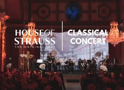 House of Strauss, Concert Show