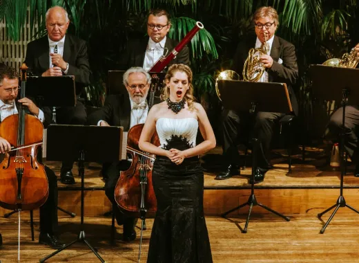 Orchestra Hofburg din Viena, Concert Strauss și Mozart