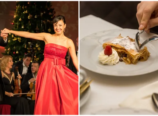 Le château de Schönbrunn à Vienne - dîner et concert