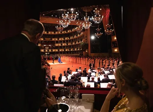 Grand Bal de l Opera de Vienne