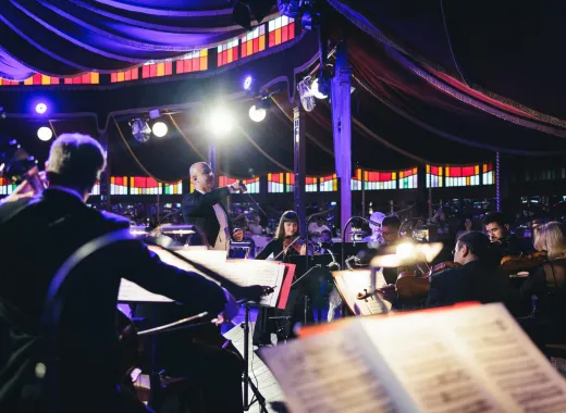 Spectacol Johann Strauss cu Cină