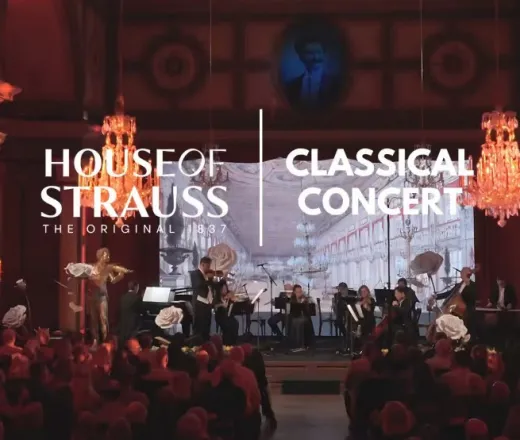 House of Strauss, Concert Show