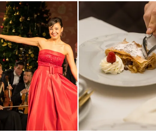 Schönbrunn Palace Vienna Dinner and Concert