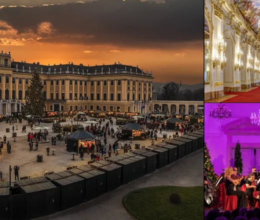 Christmas Market, Palace Tour and Concert Schönbrunn Palace