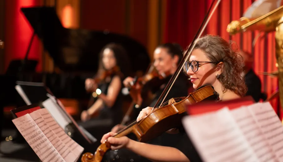 Classics of Austria, Le concert classique à Vienne